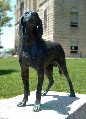 ���³�Խ���ԣ�һ���������׵ķ�ͥ�绤