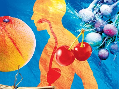 食物对身体的秘密影响 食物对身体的秘密影响