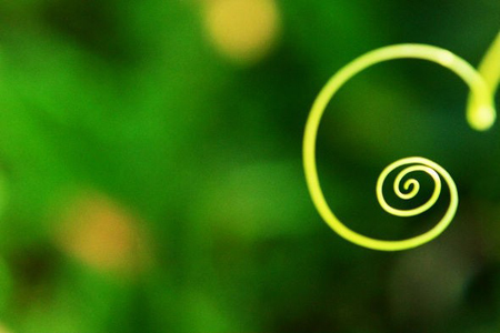 食物对身体的秘密影响 食物对身体的秘密影响