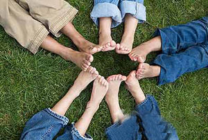 �Ų�ѪҺ��ʲô������������