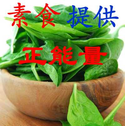 ��ʳ�ṩ������