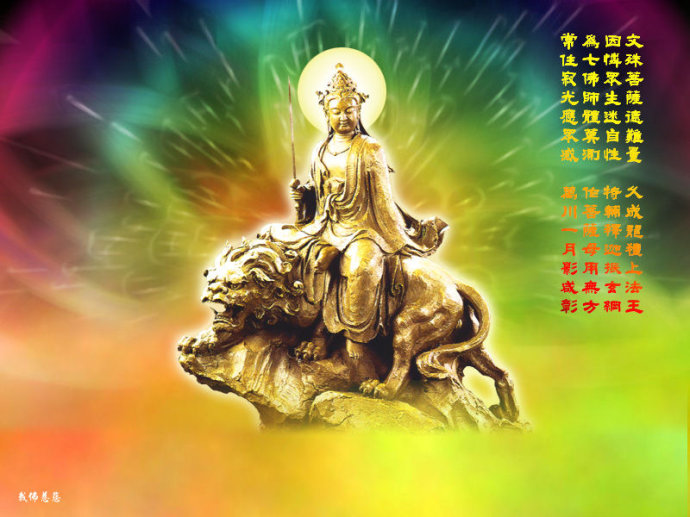 ������������ʵ����