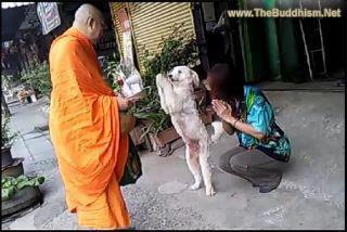 �õ������Сţ��ʦ�����ͼ��