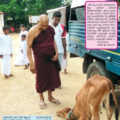 �õ������Сţ��ʦ�����ͼ��