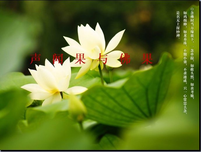 ͼ���̻���֪ʶ������������