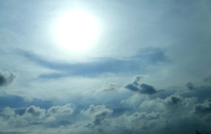 一名自由画家自述神奇真实的学佛之路 一名自由画家自述神奇真实的学佛之路