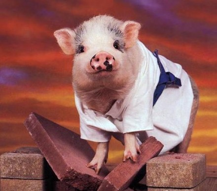 肉食揭秘:是谁谋杀了你的健康 肉食揭秘:是谁谋杀了你的健康