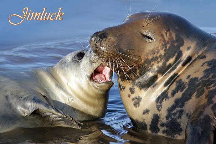 Ұ����������˵�ĸ������