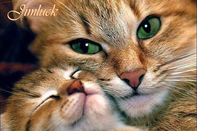 Ұ����������˵�ĸ������