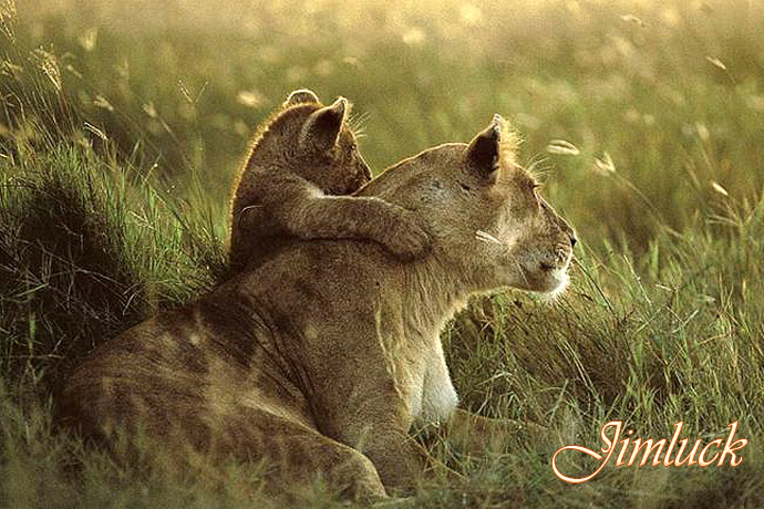 Ұ����������˵�ĸ������