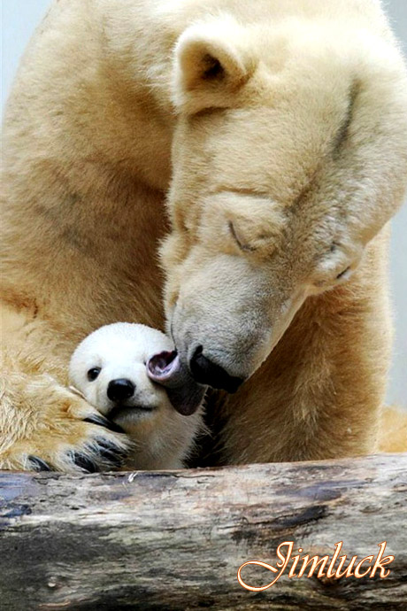 Ұ����������˵�ĸ������