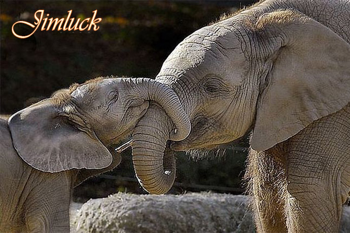 Ұ����������˵�ĸ������