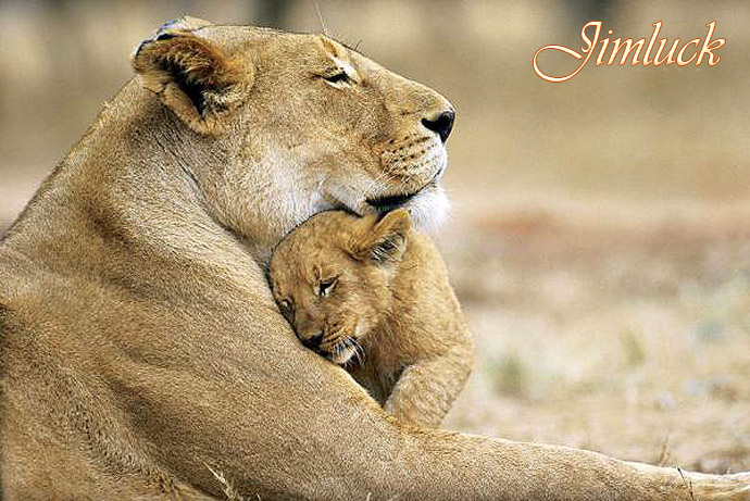 Ұ����������˵�ĸ������