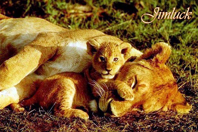 Ұ����������˵�ĸ������