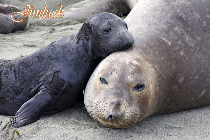 Ұ����������˵�ĸ������