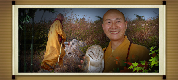 ��ϲ��ʦ��ʾ���������������������������Ʒ����ʾ(��)������Ů�ˣ��������У���ݹ������������������������ǻ�֮�У�������Ů��������������֮Ů����ֲ�±������˰�����