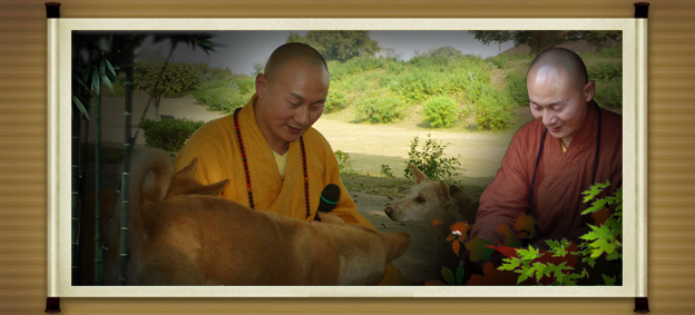 ��ϲ��ʦ��ʾ���������������������������Ʒ����ʾ(��)������Ů�ˣ��������У���ݹ������������������������ǻ�֮�У�������Ů��������������֮Ů����ֲ�±������˰�����