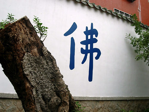 һ����ʦ��ʲô����õ����з���