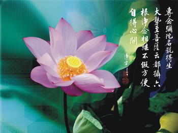 ��ɮ������������������һ�ж񼲡���֢