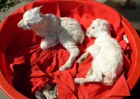 ����������Ͳ������ĳ��ص���·����