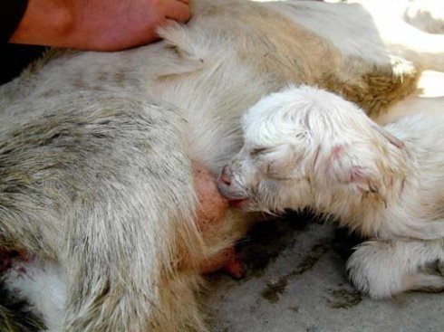 ����������Ͳ������ĳ��ص���·����