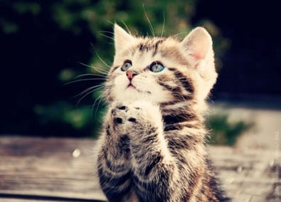 �������£������Ĺ���