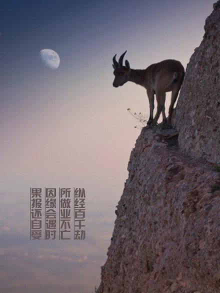 ���濰�����������������[Ϊʲô�ƶ񲻻���������]