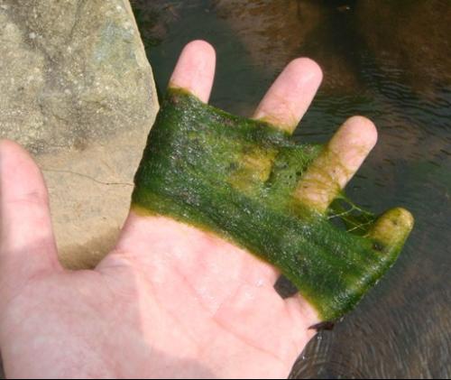 ���� �������㡱 ��һ��ƫ��