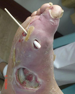 ����_�������㡱_��һ��ƫ��