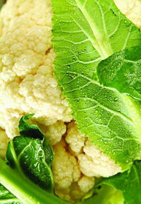 点击进入下一页 点击进入下一页