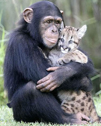 点击进入下一页 点击进入下一页