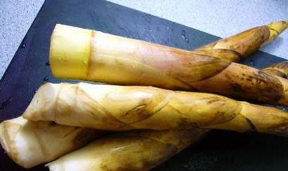 ���������һҳ