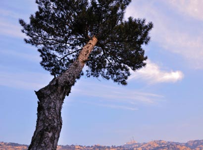 �������£�һ��һʧ