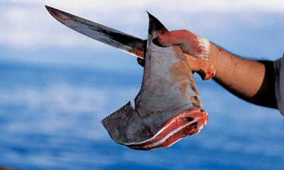 点击进入下一页 点击进入下一页