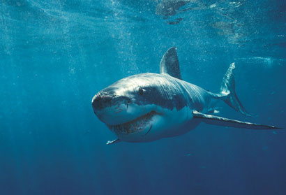 点击进入下一页 点击进入下一页