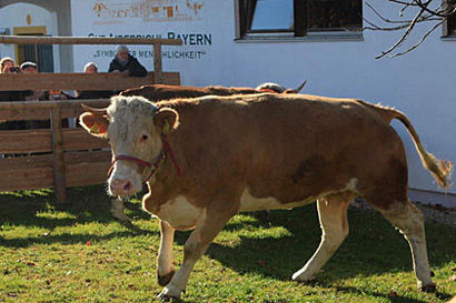 点击进入下一页 点击进入下一页