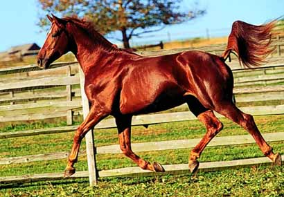 �������£������ͱ���