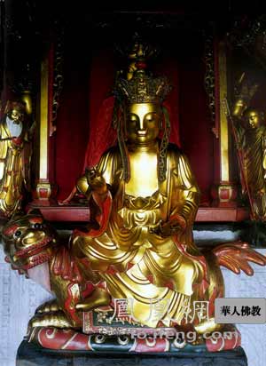 ���ӹ��£���ز���Ż�ɽ