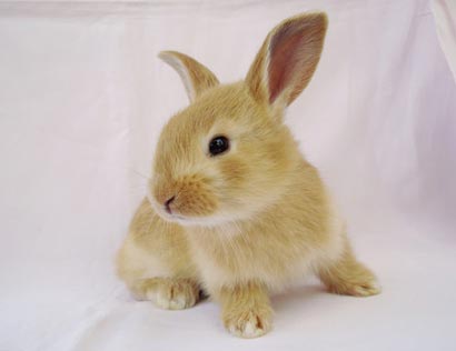 �������£���������������