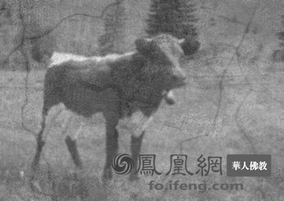 点击进入下一页 点击进入下一页