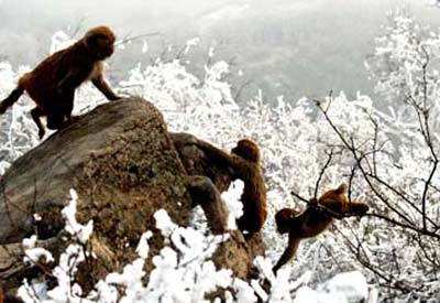 ���ӹ��£��������ֺ�