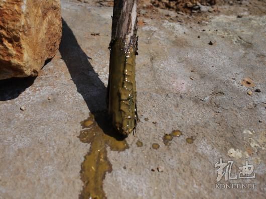 ���ϰ�֢�������_���������ǲ���ңԶ(��ͼ)