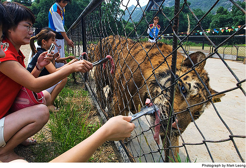 ����ĵ������˼�-��ֹͣ���ж���������