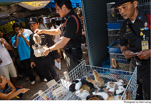 ����ĵ������˼�-��ֹͣ���ж���������