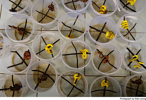 ����ĵ������˼�-��ֹͣ���ж���������