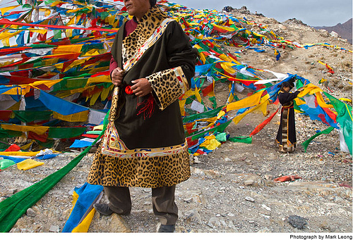 ����ĵ������˼�-��ֹͣ���ж���������