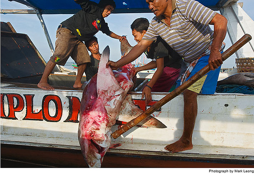 ����ĵ������˼�-��ֹͣ���ж���������