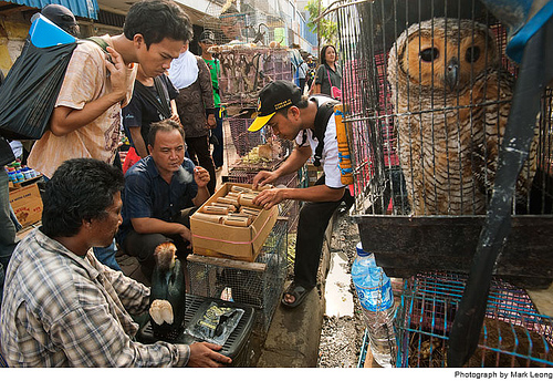 ����ĵ������˼�-��ֹͣ���ж���������