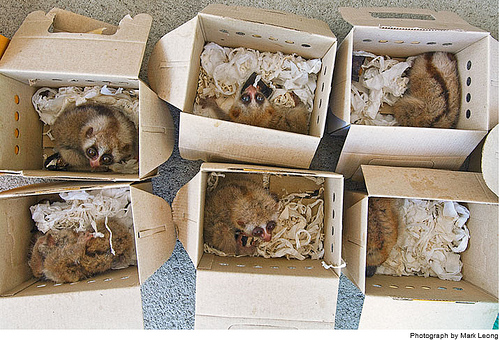 ����ĵ������˼�-��ֹͣ���ж���������