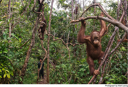 ����ĵ������˼�-��ֹͣ���ж���������